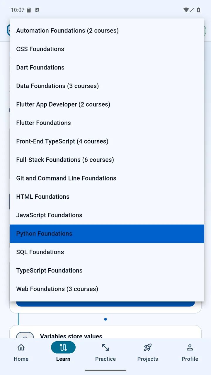 CodeBlips course library with focused programming paths